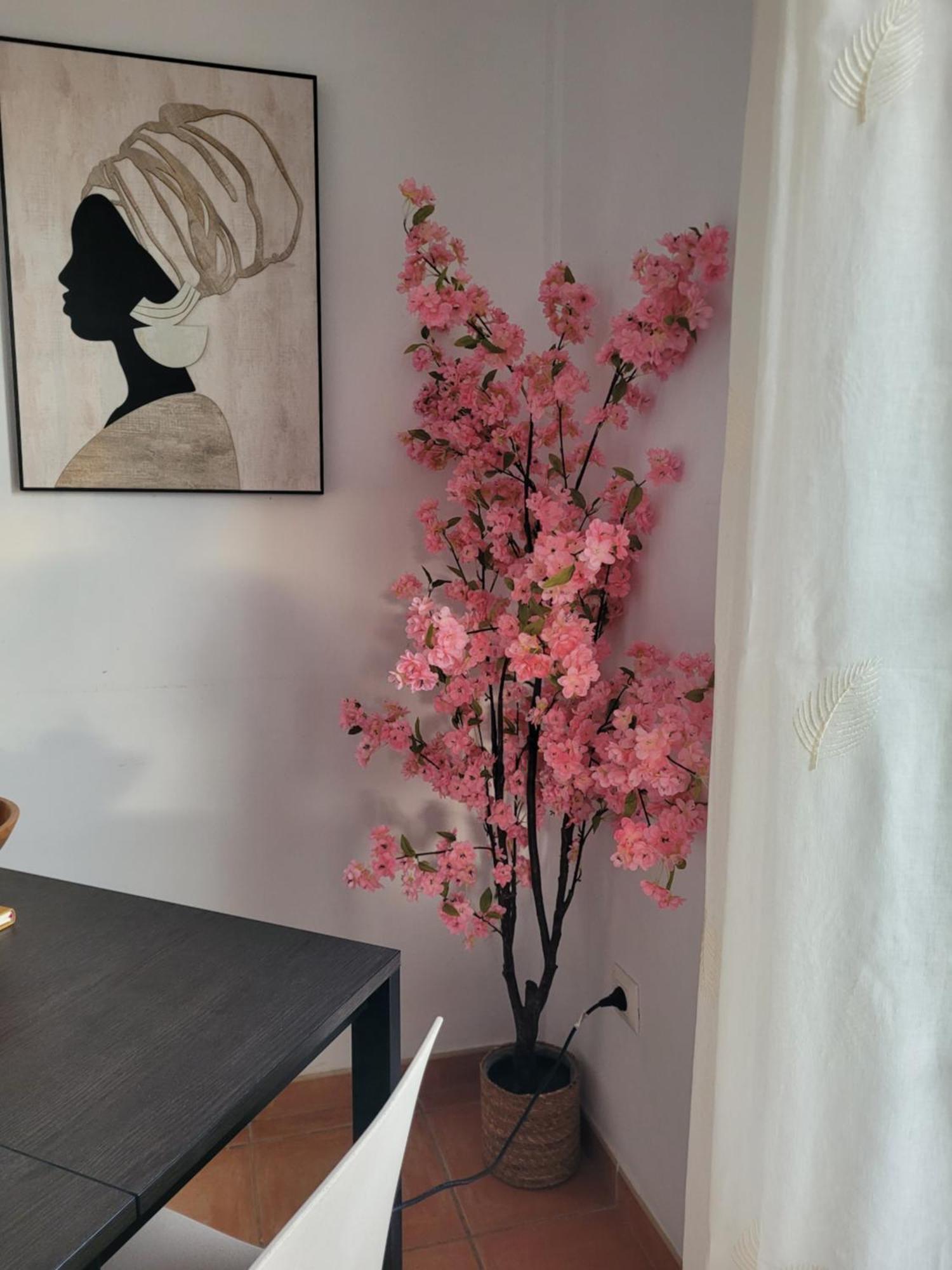Apartment Casa Pepe *